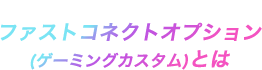 ファストコネクトオプション(ゲーミングカスタム)とは