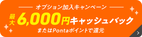 最大6,000円キャッシュバック