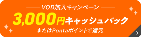 3,000円キャッシュバック