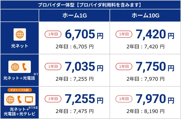 Netflixパック+スタート割/長期継続割引 戸建て月額料金