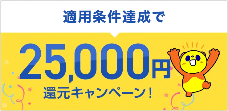 適用条件達成で25,000円還元キャンペーン！