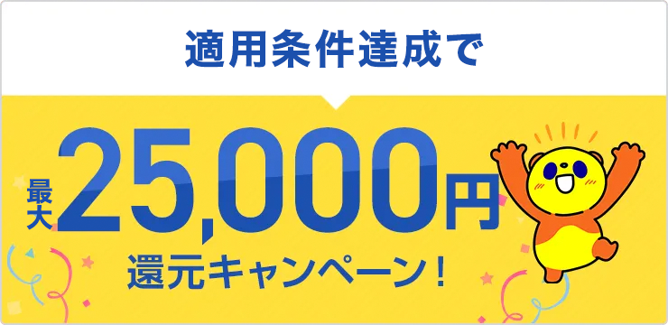 適用条件達成で最大25,000円還元キャンペーン！