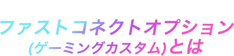 ファストコネクトオプション(ゲーミングカスタム)とは
