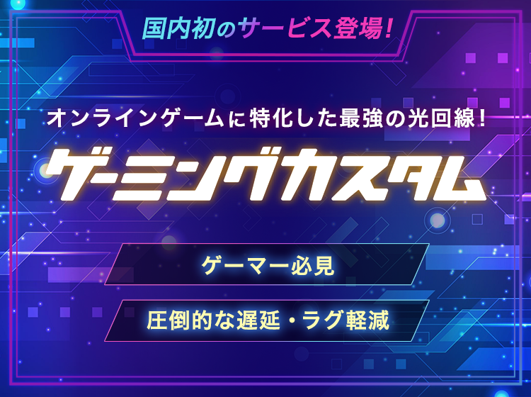 国内初のサービス登場!オンラインゲームに特化した最強の光回線!ゲーミングカスタム オンラインゲームに特化した最強の光回線!