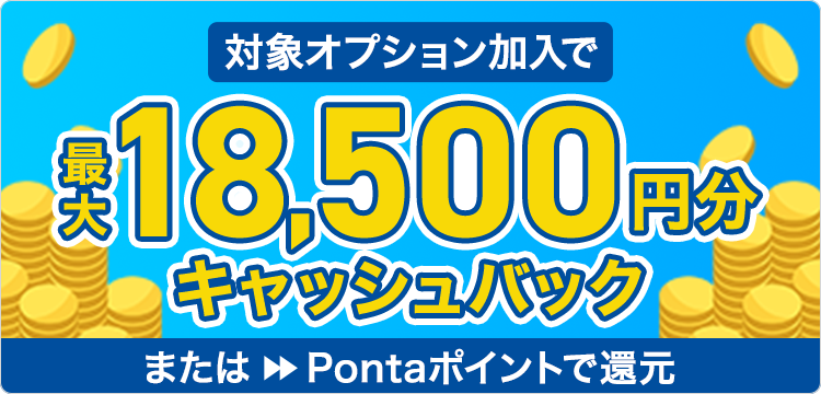 対象オプション加入で最大18,500円分キャッシュバック