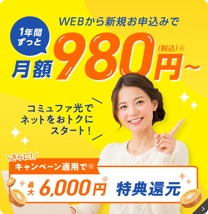 月額実質 980円（税込）～