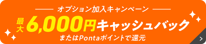 最大6,000円キャッシュバック