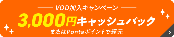 3,000円キャッシュバック