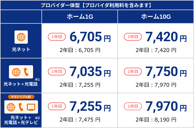 Netflixパック+スタート割/長期継続割引 戸建て月額料金